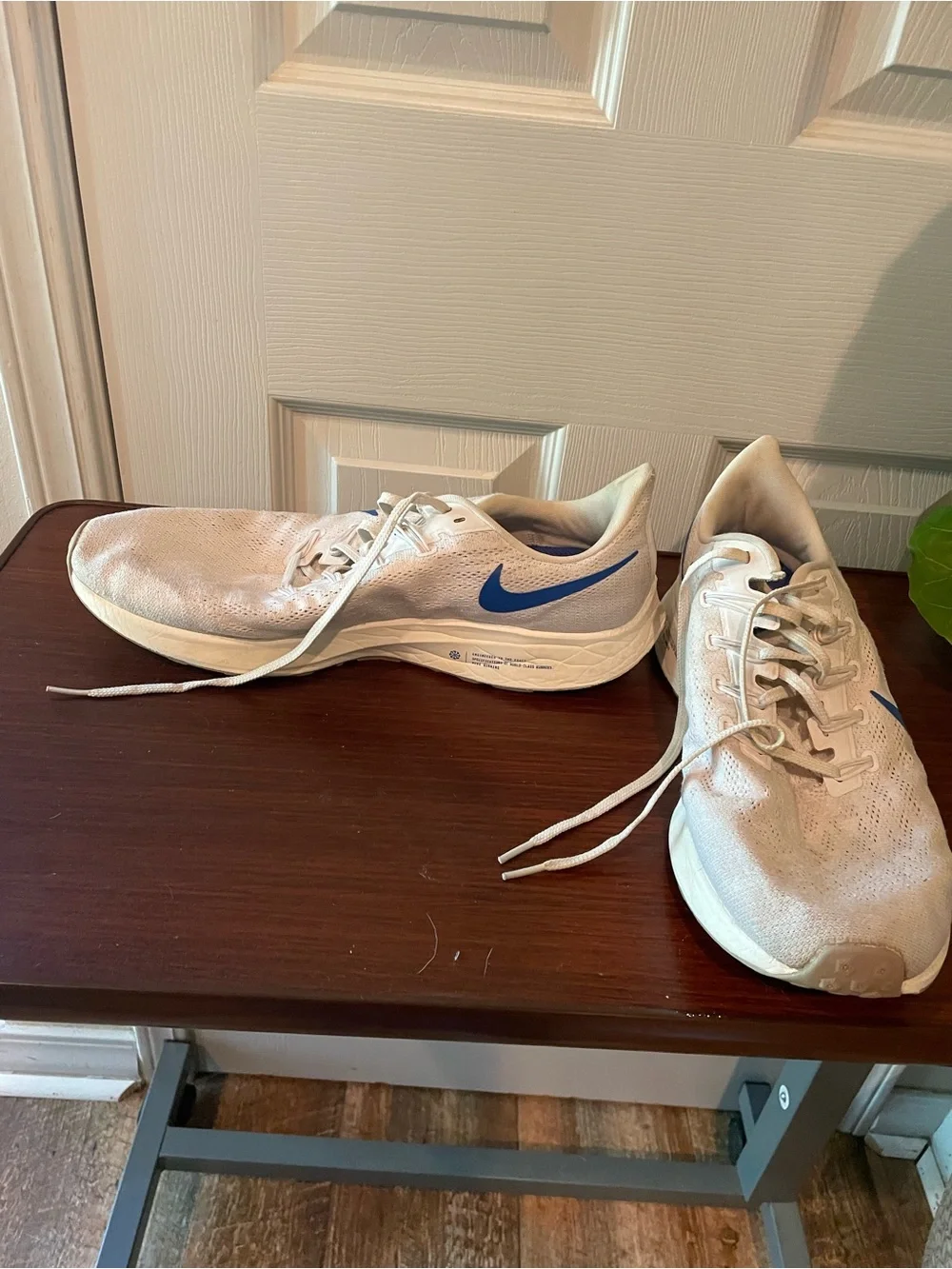 Nike White Sneakers with Blue Insole